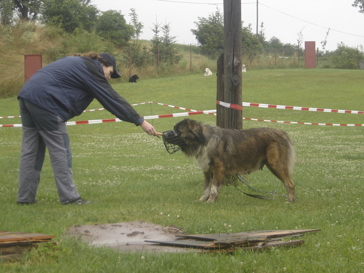 Žižice 13.7.08 077.jpg