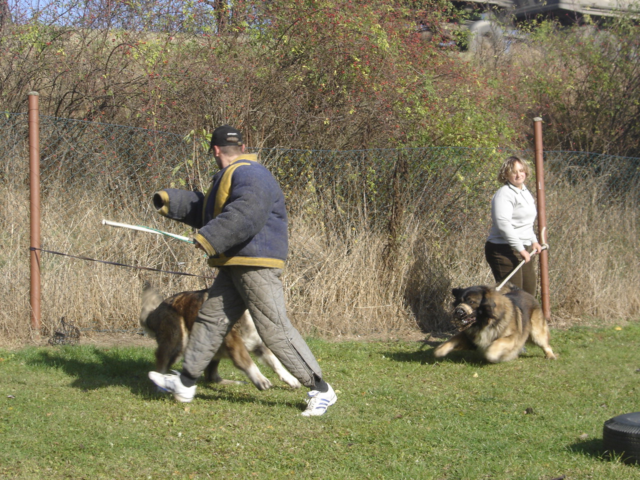 ZIZICE 18.10.08 017.jpg