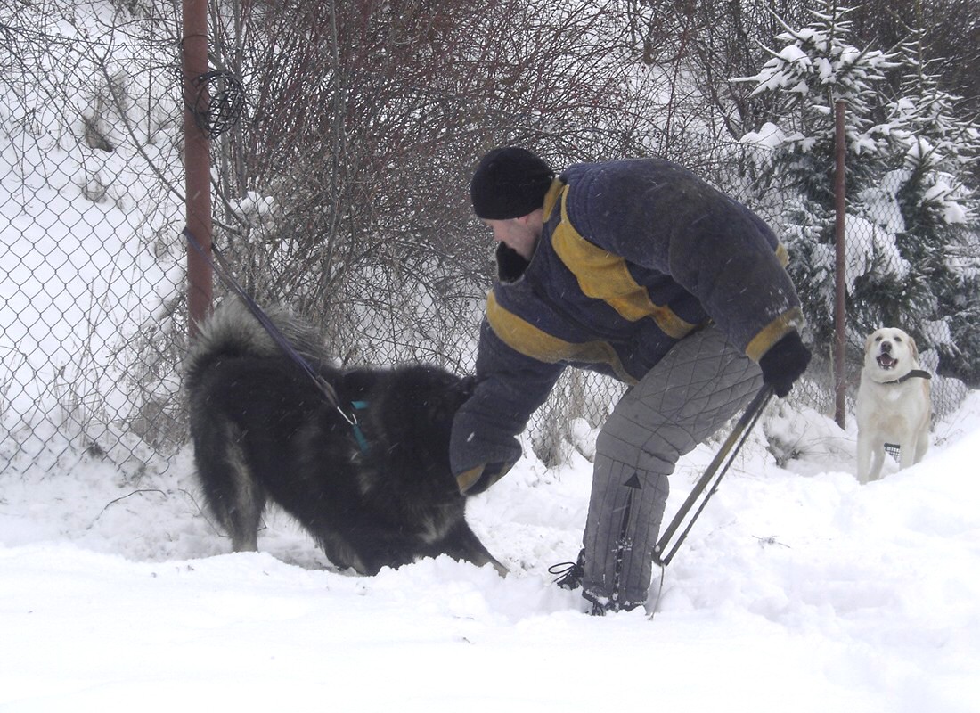 zizice 17.1.2010 031.jpg